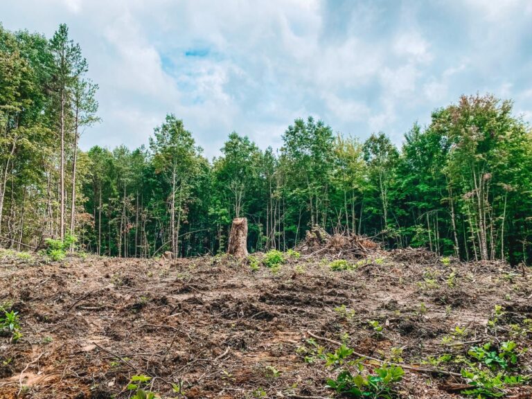 Off-grid land buying guide